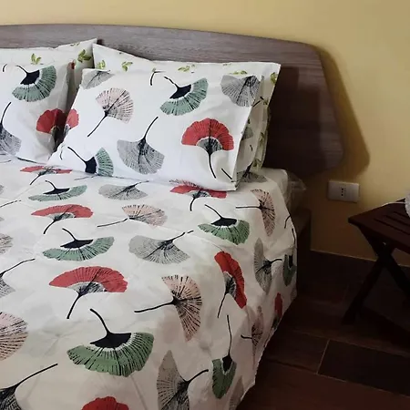 Bed & Breakfast Salvo E Terry *