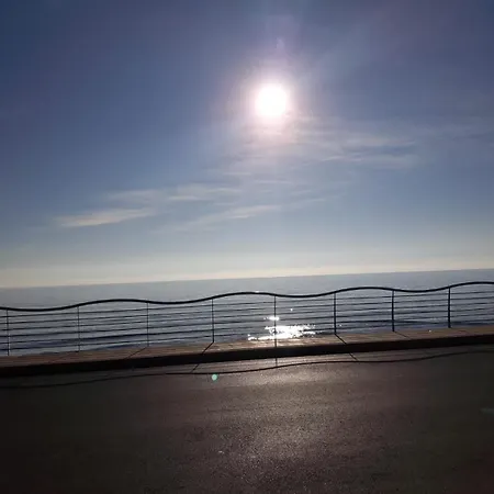 Salvo E Terry Avola