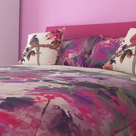 לינה וארוחת בוקר Salvo E Terry אבולה