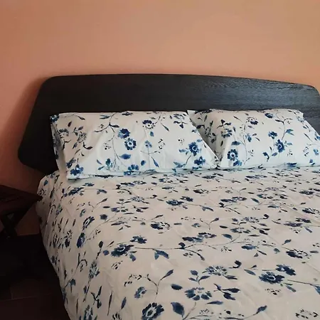 לינה וארוחת בוקר Salvo E Terry אבולה